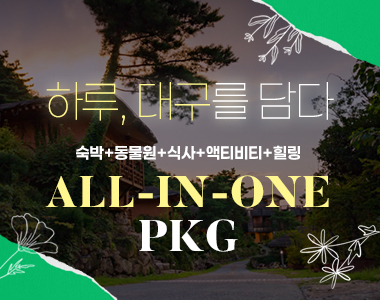 하루, 대구를 담다. ALL-IN-ONE PKG(숙박+동물원+식사+액티비티+힐링)